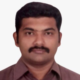 An Image of Dr. N. Hari Krishnan